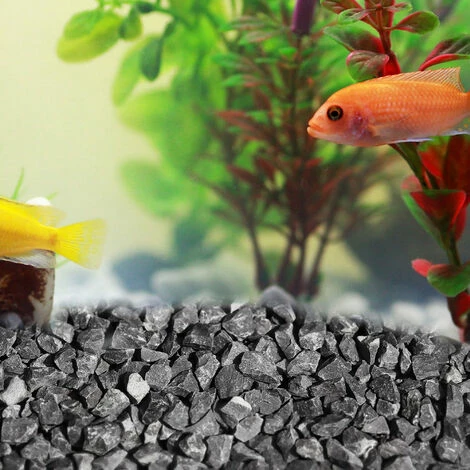 BITUXX 5 Kg Schwarzer Basalt Zierkies Naturkies Basaltkies Aquariumkies Bodengrund für Aquarium oder Terrarium (2-7mm) BITUXX 5 Kg Schwarzer Basalt Zierkies Naturkies Basaltkies Aquariumkies Bodengrund Für Aquarium Oder Terrarium (2-7mm) -BITUXX Geschäft 16516924 2